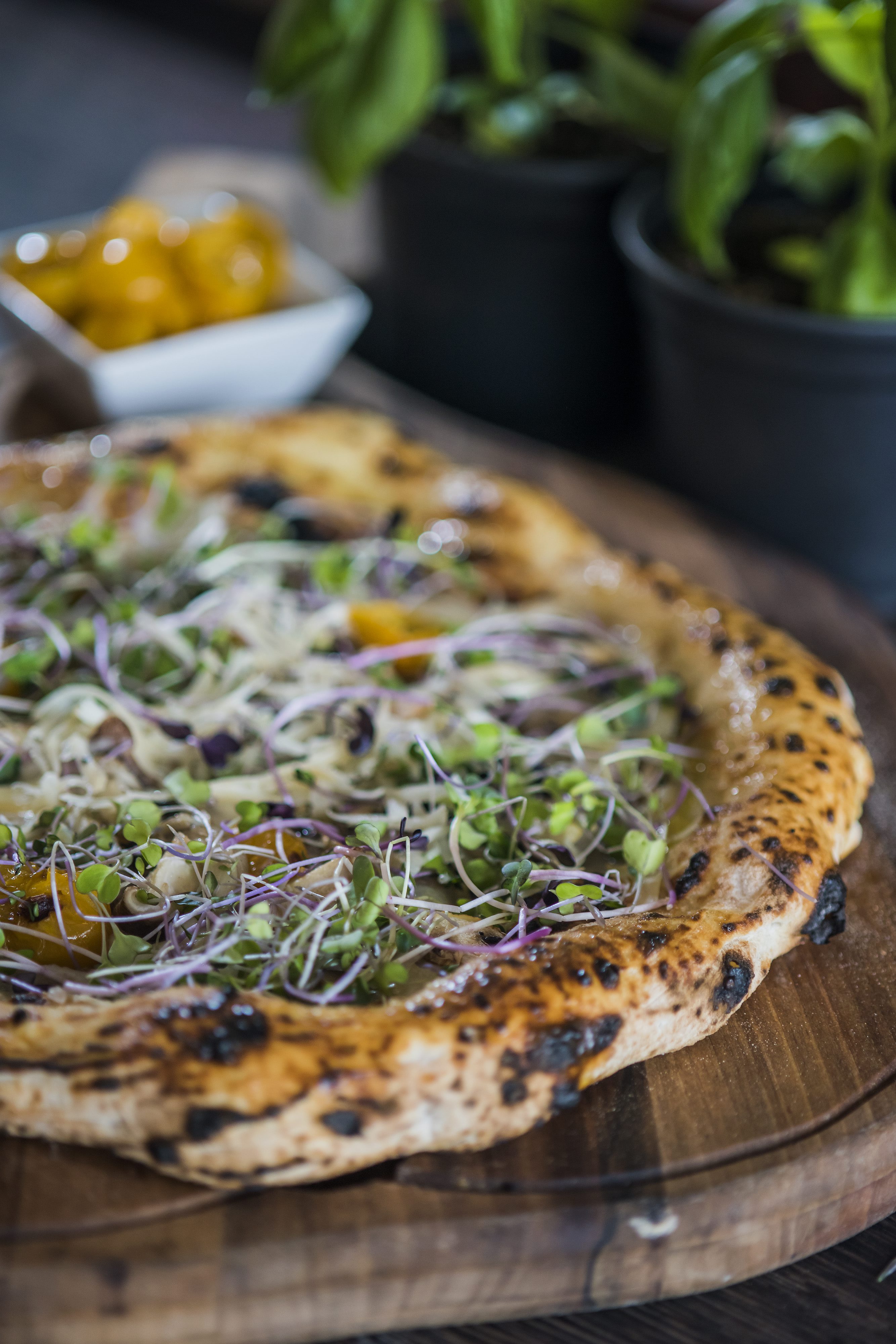 Zagreb, 201016. 
Pizzeria O Hara na Malesnici.
Foto: Neja Markicevic / CROPIX