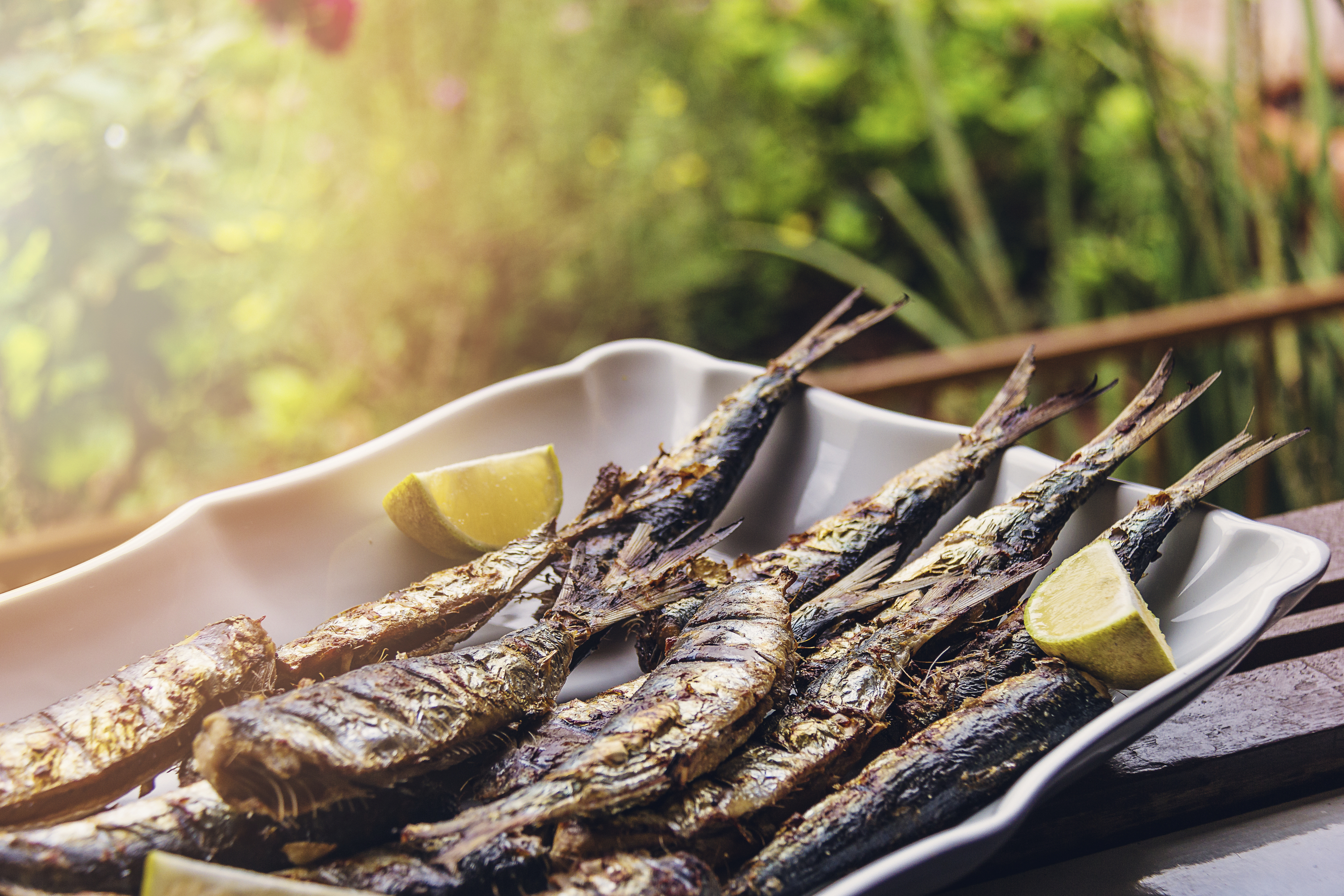 Barbequed Sardines served for lunch. Post processing with Lightroom, Photoshop and Nick Software.