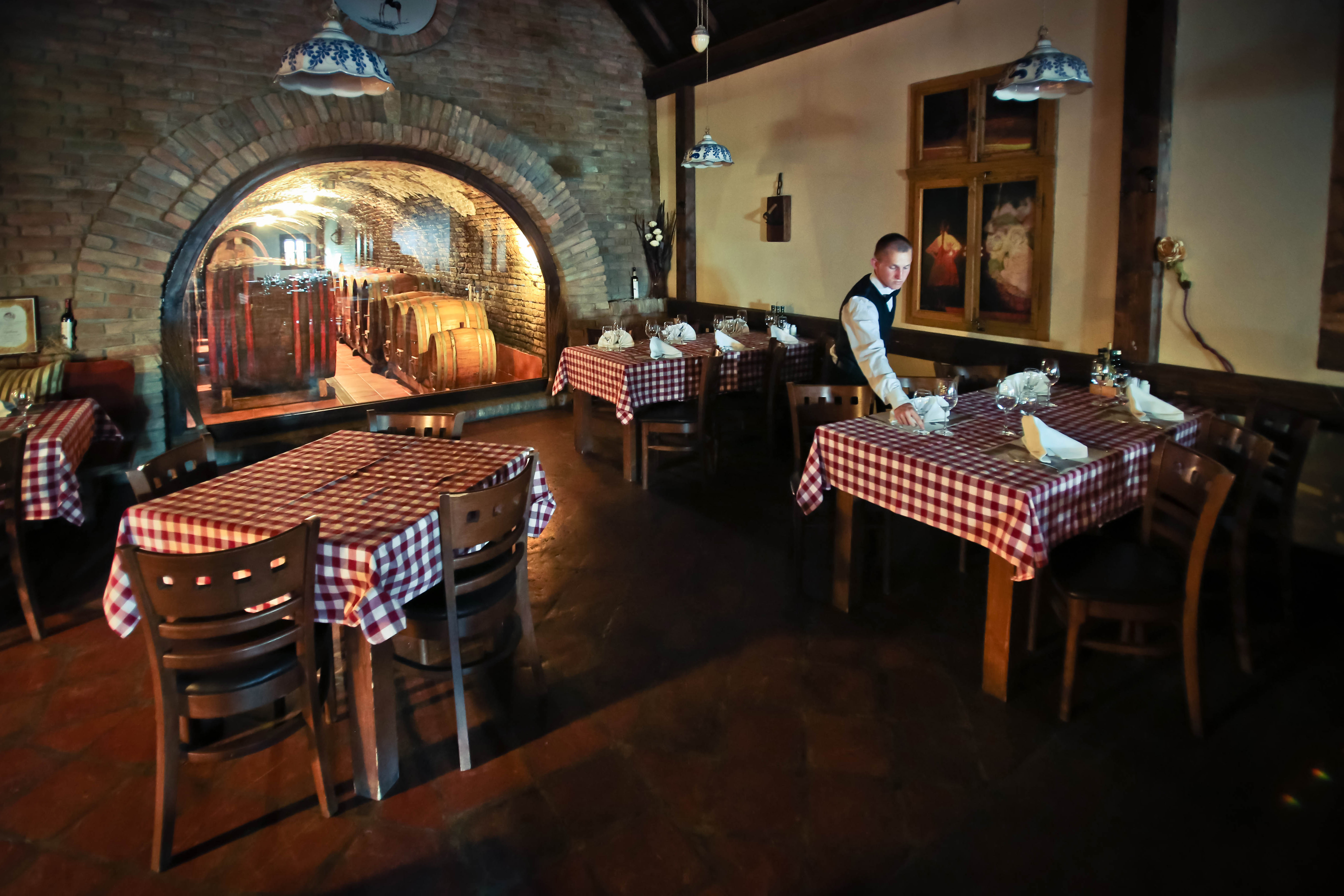 Zmajevac, 090513.
Vinarija i restoran Josic.
Na fotografiji: restoran.
Foto: Danijel Soldo / CROPIX

