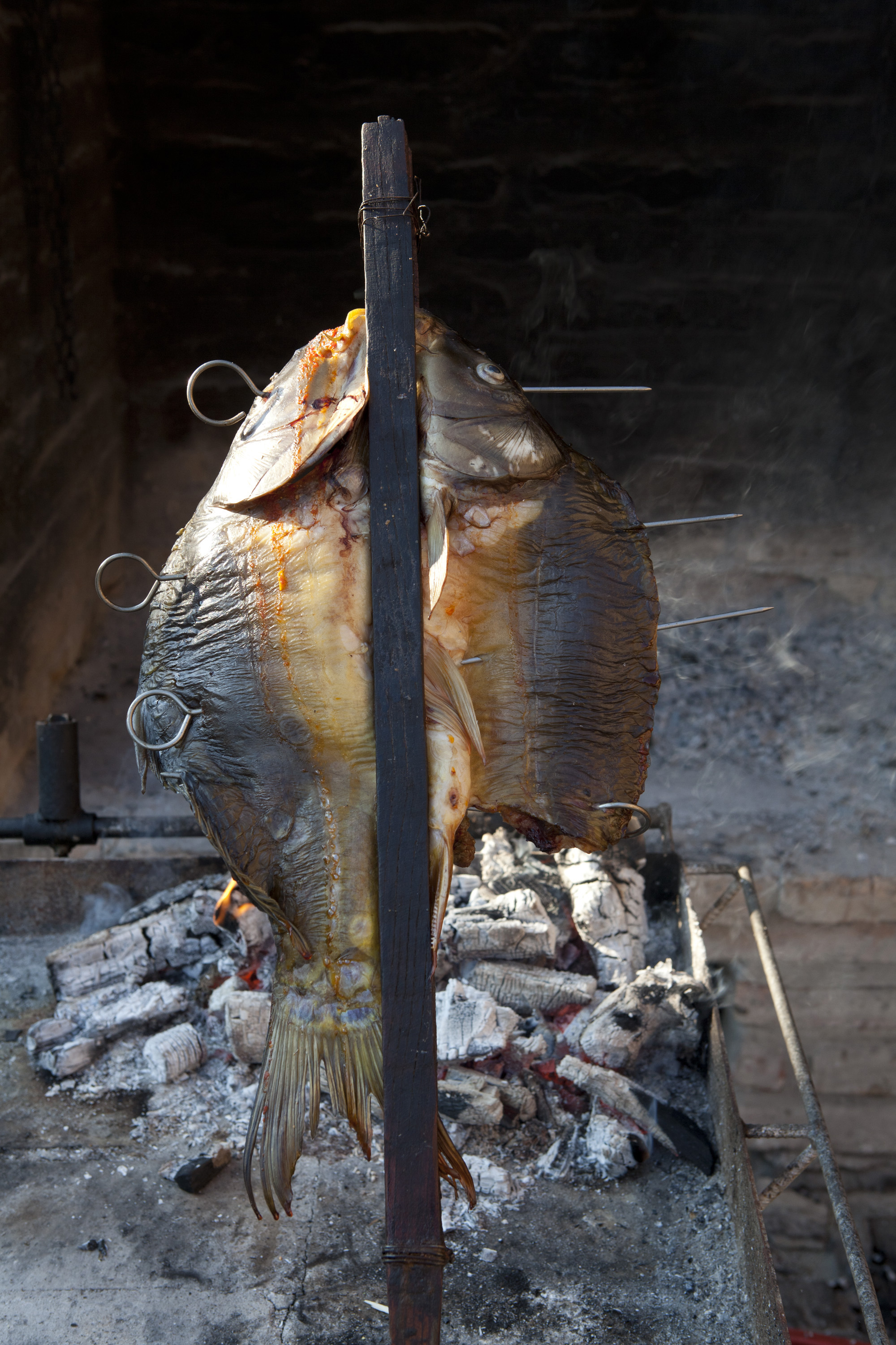 Zmajevac, 270911.
Restoran i vinarija Josic u Zmajevcu. 
Na fotografiji: saran na rasljama.
Foto: Vlado Kos / Cropix 
