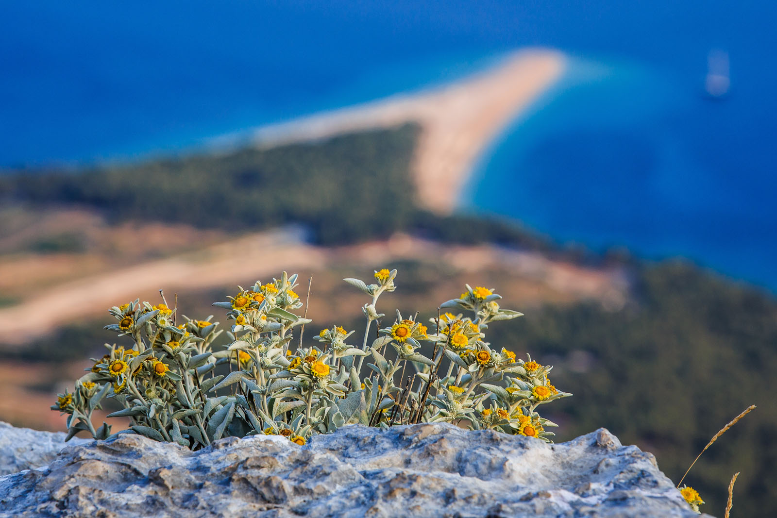 Otok Brac, Vidova Gora, 200713.
Brac je treci otok po povrsini u Jadranskom Moru, te je najvisi otok na Jadranu sa vrhom 778m/nm. Otok posjeduje i jednu od najpoznatihih plaza u svijetu Zlatni Rat.
Na fotografiji: Panorama Zlatnog Rata i Bola sa Vidove Gore.
Foto: Zvonimir Barisin / CROPIX