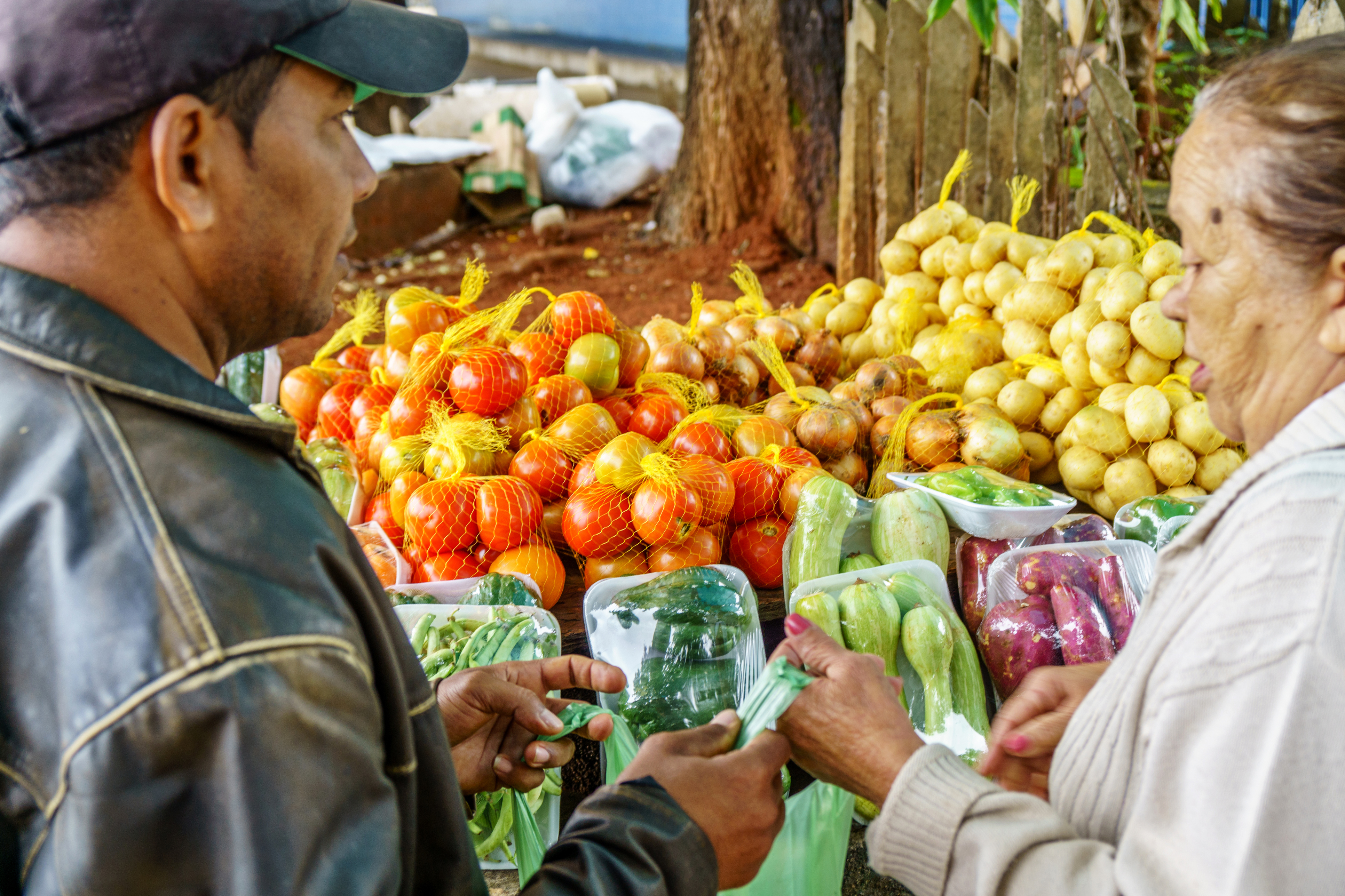 Brasilia, Brazil - March 01, 2017: Businesses in Brasilia. Woman buying fruit and vegetables from street stall