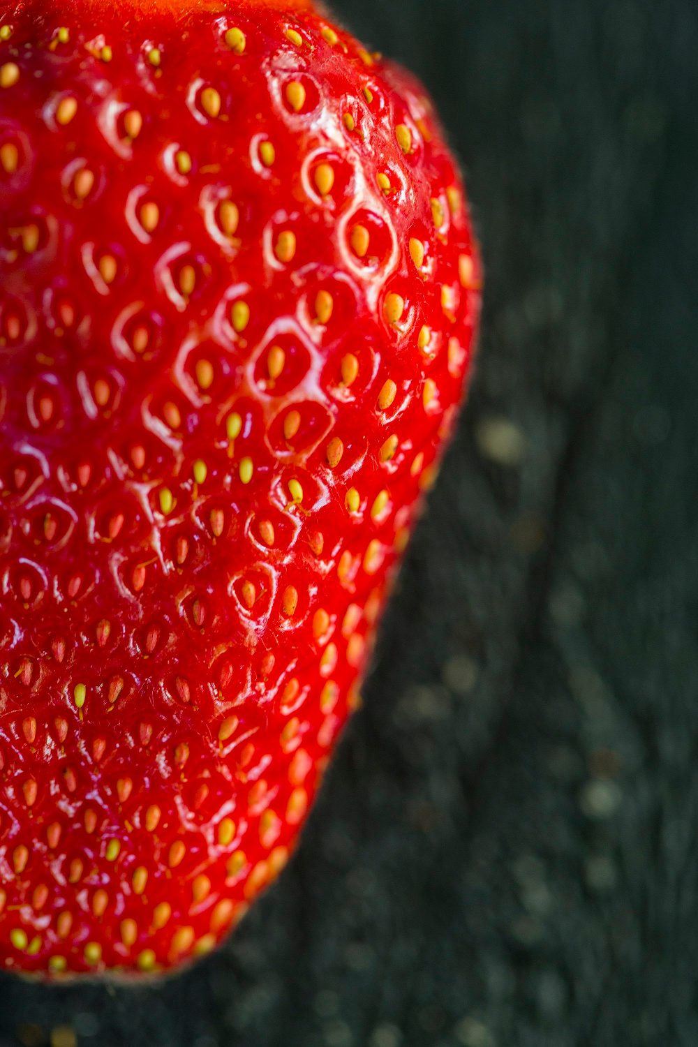 Sisak, 210518.
Opg Veselic, obteljsko imanje koje se bavi eko uzgojem voca i povrca. Sada je na plantazama najvice jagode vise sorti jer im je sezona.
Svoje proizvode prodaju u nekim centrima, ducanima zdrave prehrane.
U poslu je cijela obitelj na celu s sinom Ivanom koji s suprugom vodi posao.
Foto: Berislava Picek/ CROPIX