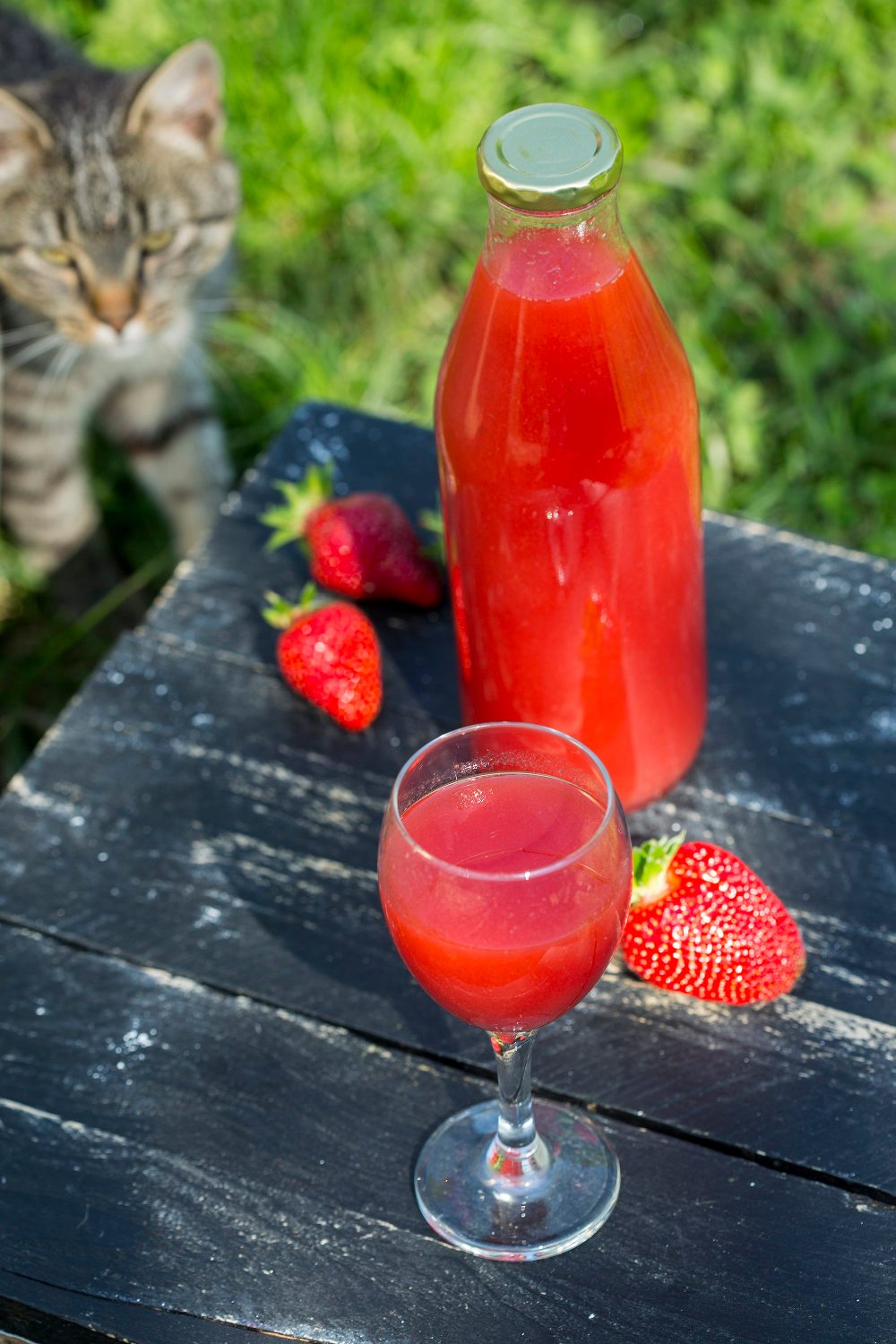 Sisak, 210518.
Opg Veselic, obteljsko imanje koje se bavi eko uzgojem voca i povrca. Sada je na plantazama najvice jagode vise sorti jer im je sezona.
Svoje proizvode prodaju u nekim centrima, ducanima zdrave prehrane.
U poslu je cijela obitelj na celu s sinom Ivanom koji s suprugom vodi posao.
Foto: Berislava Picek/ CROPIX