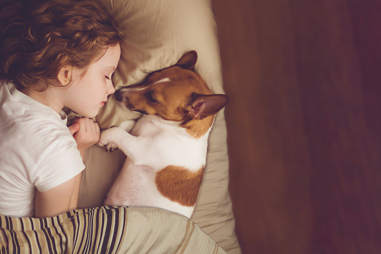 iStock-868373916