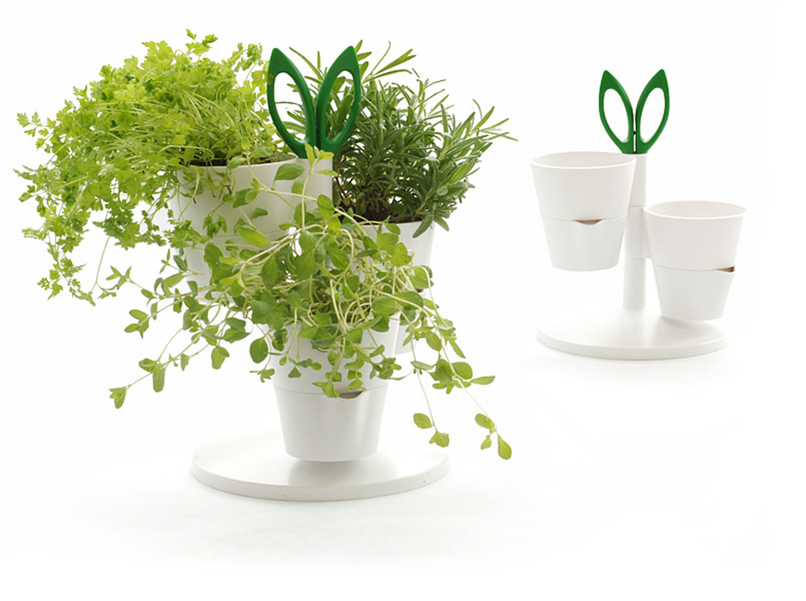 HERB STAND1