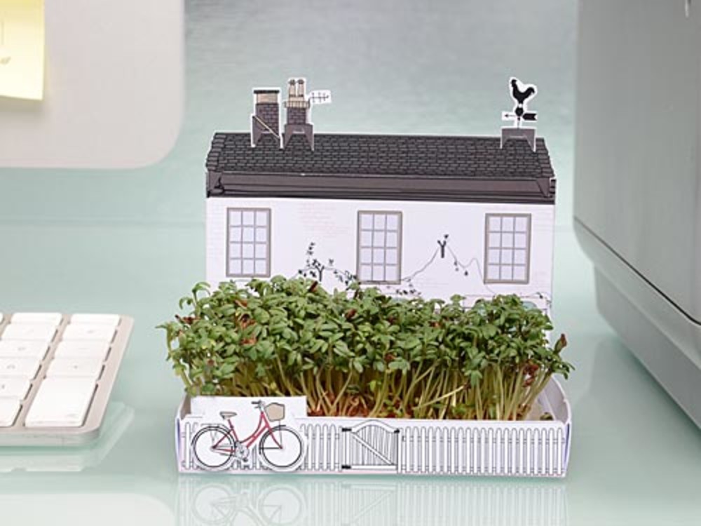 broj2_matchgarden-jardin-miniature