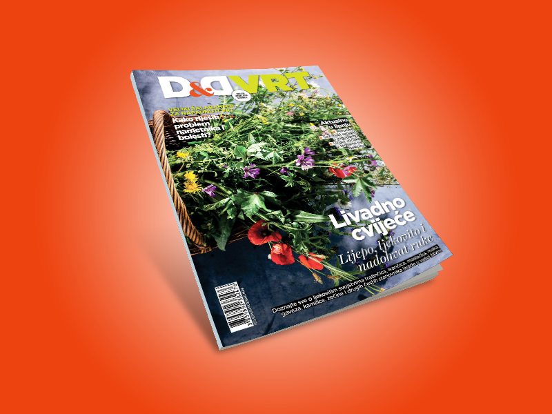 D&Dvrt800X600_V3
