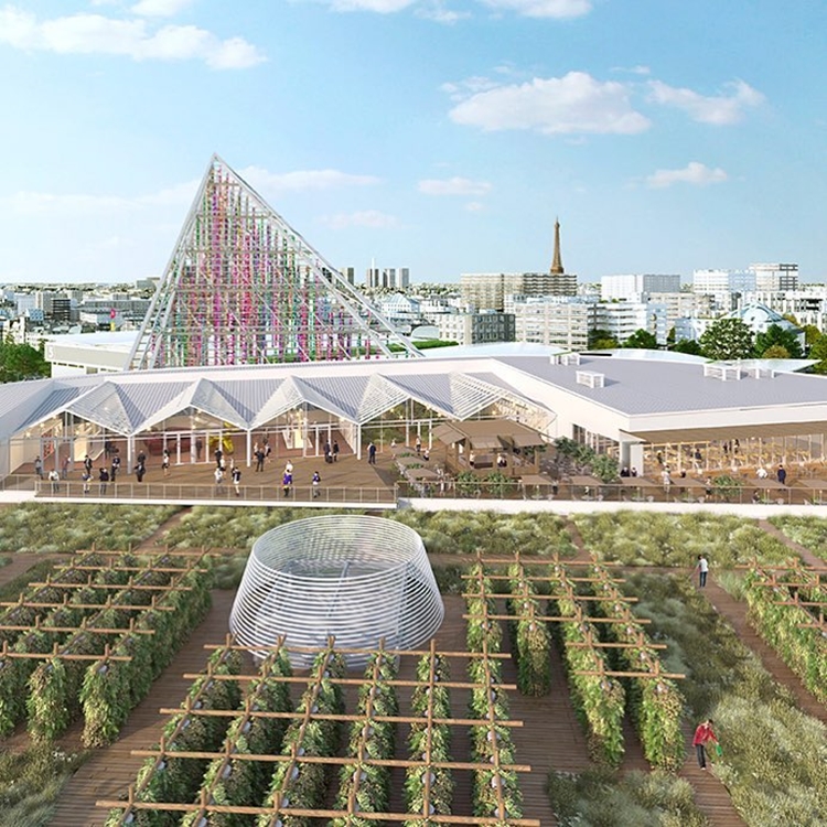 expo_1