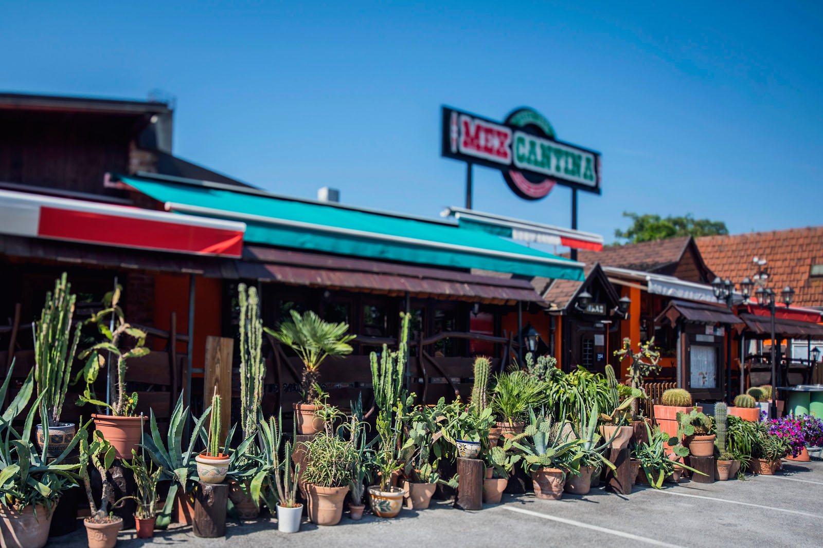 mex_cantina1-030719