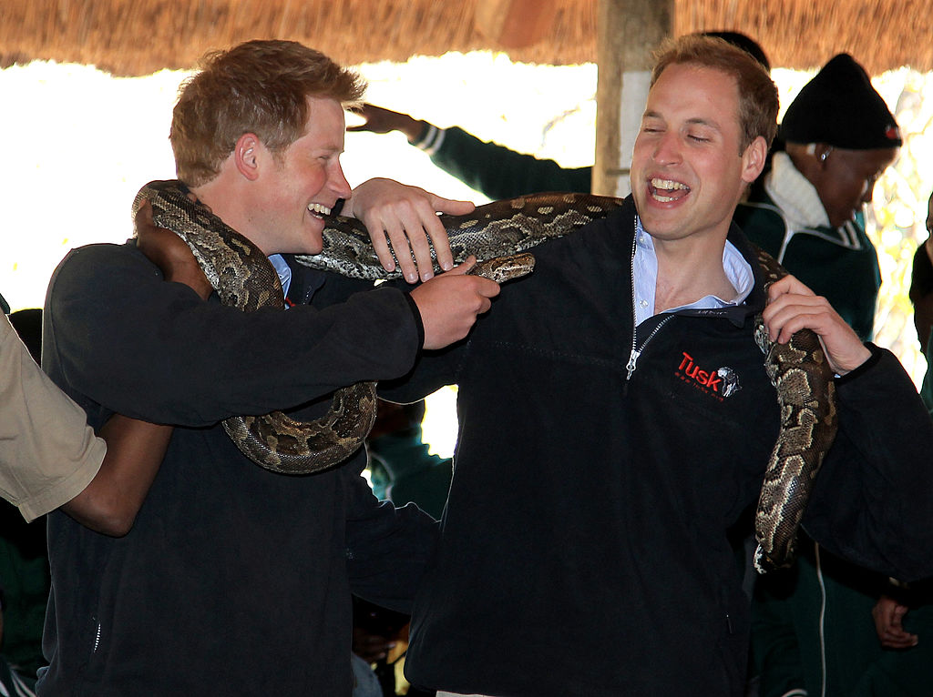GABORONE, BOTSWANA - JUNE 15:  Prince Harry and Prince William (R) hold an African rock python during a visit to Mokolodi Education Centre on June 15, 2010 in Gaborone, Botswana. The Princes are on a six day joint trip to Africa to visit charities they support across Botswana, Lesotho and finally South Africa. (Photo by Chris Jackson/Getty Images)