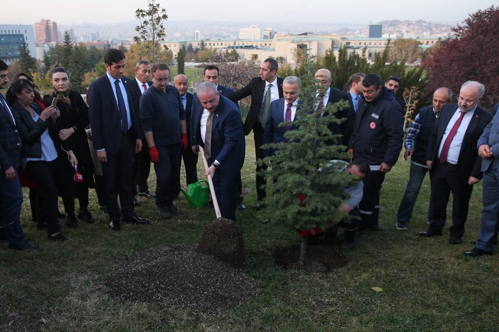 Mustafa Şentop sadi stablo u sklopu Nacionalnog dana pošumljavanja
