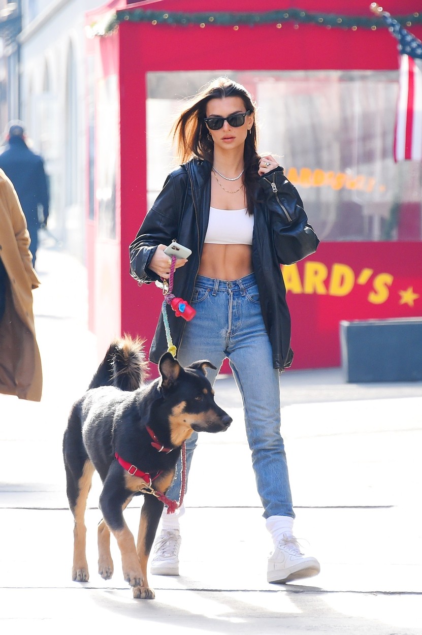 New York, NY  - Model Emily Ratajkowski stepped out looking sexy displaying her abs during a Friday stroll with her dog Colombo.

*UK Clients - Pictures Containing Children
Please Pixelate Face Prior To Publication*, Image: 494608294, License: Rights-managed, Restrictions: , Model Release: no, Credit line: JosiahW / BACKGRID / Backgrid USA / Profimedia