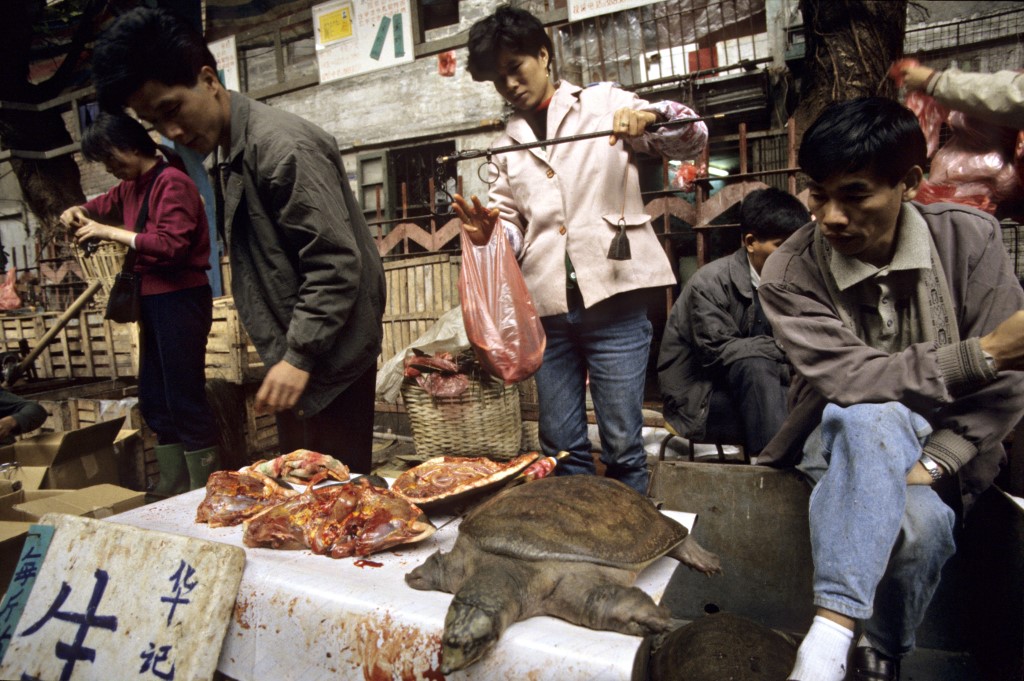 Turtle meat in a market in China.

Biosphoto / Jean Robert