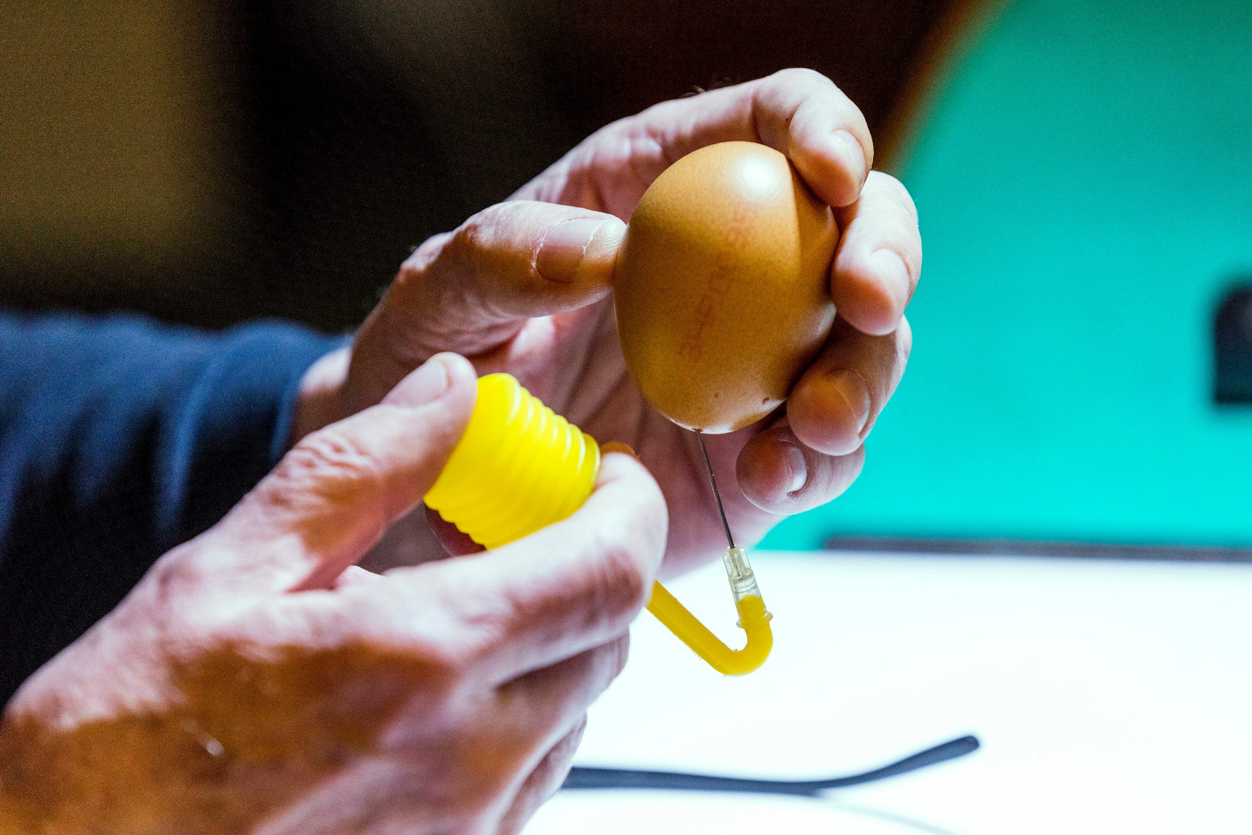 Zagreb, 070420.
Jurisiceva.
Umirovljeni animator Tomislav Sporis pokazuje kako oslikava svoja uskrsnja jaja.
Na fotografiji: prvi korak, praznjenje jaja pumpom za zrak.
Foto: Tomislav Kristo / CROPIX
