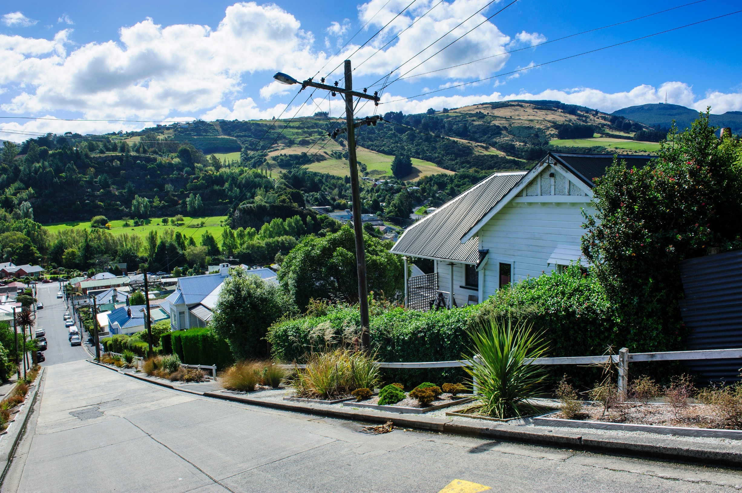 Baldwin Street, the world's steepest residential street, Dunedin, Otago, South Island, New Zealand, Pacific, Image: 201050263, License: Rights-managed, Restrictions: , Model Release: no, Credit line: Michael Runkel / robertharding / Profimedia