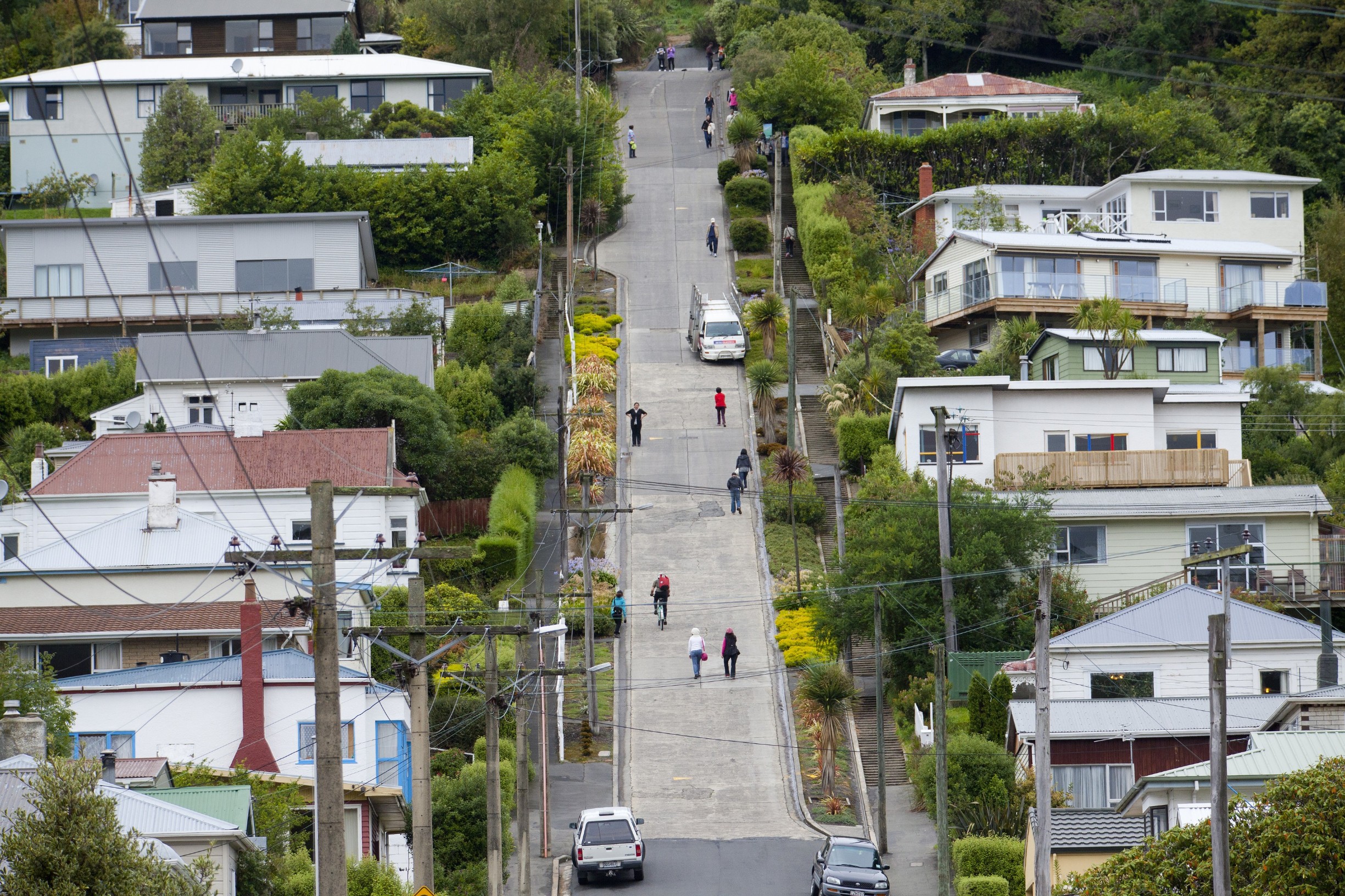 baldwin street,the steepest street in the world,in dunedin,new zealand, Image: 337539443, License: Royalty-free, Restrictions: , Model Release: no, Credit line: Uwe Moser / Panthermedia / Profimedia
