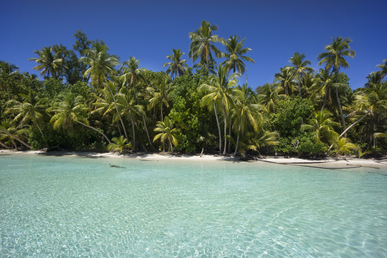 Lagoon with a sandy beach and palm trees, Peleliu, Palau, Micronesia, Image: 193397219, License: Rights-managed, Restrictions: , Model Release: no, Credit line: J.W.Alker / imageBROKER / Profimedia