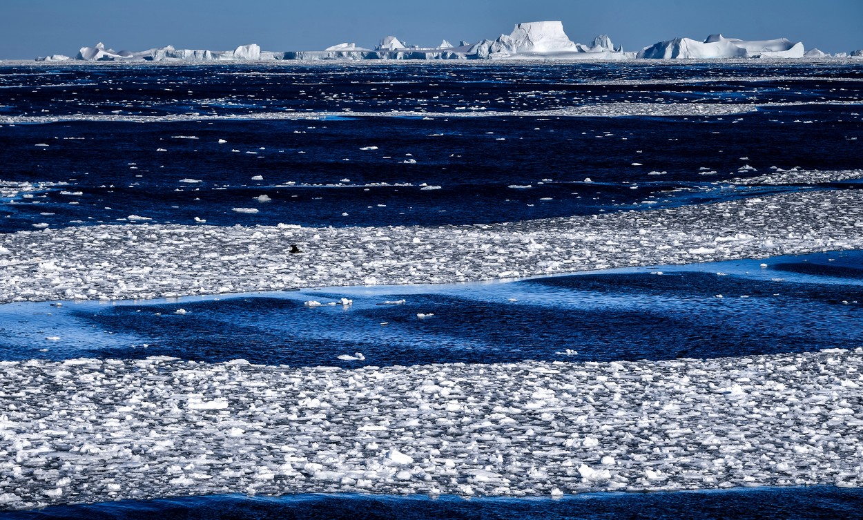 6190239 23.02.2020 Ice shelf is seen from the deck of the Russian oceanographic research vessel Admiral Vladimirsky during an expedition to the shores of Antarctica. In December 2019 Admiral Vladimirsky went on a voyage to the shores of Antarctica, dedicated to the 200th anniversary of the discovery of the Ice Continent by Russian sailors., Image: 504238082, License: Rights-managed, Restrictions: , Model Release: no, Credit line: Alexey Kudenko / Sputnik / Profimedia