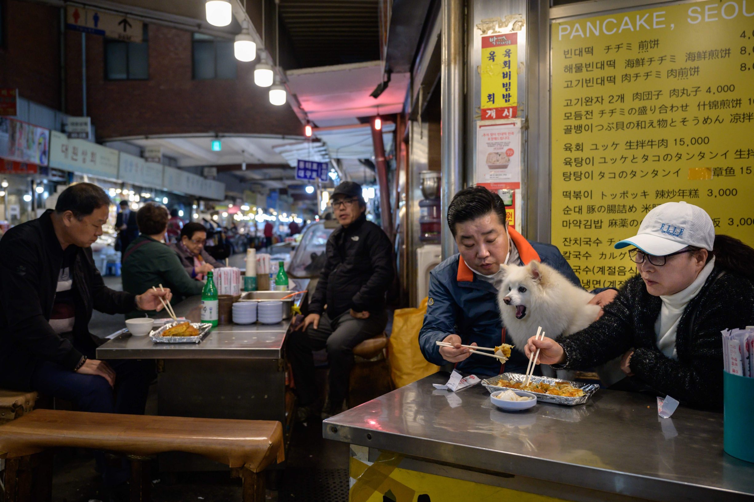A diner sits beside a dog as he eats lunch at a market in Seoul on April 20, 2020. (Photo by Ed JONES / AFP)