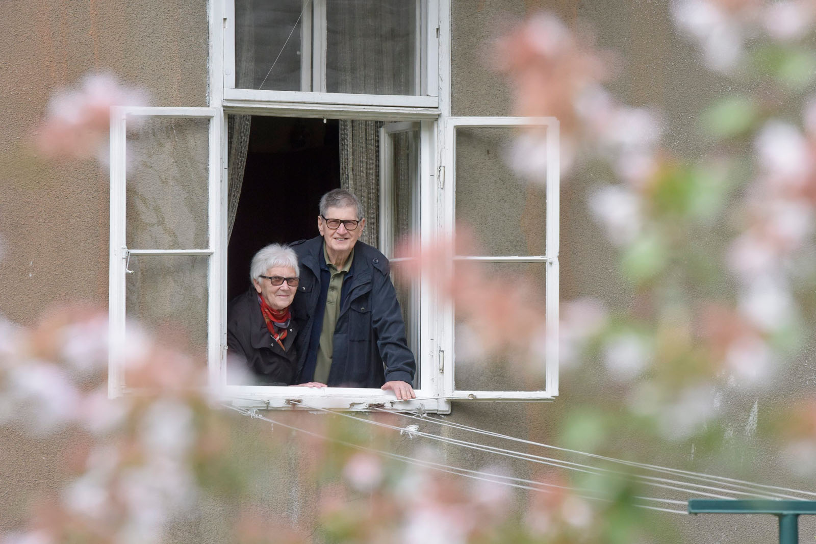 Zagreb, 091019.
Palmoticeva 15.
Josip i Blanka Horbec u sredistu grada uredjuju vrt koji svaku godinu biva nagradjen nagradom Floraarta.
Foto: Darko Tomas / CROPIX