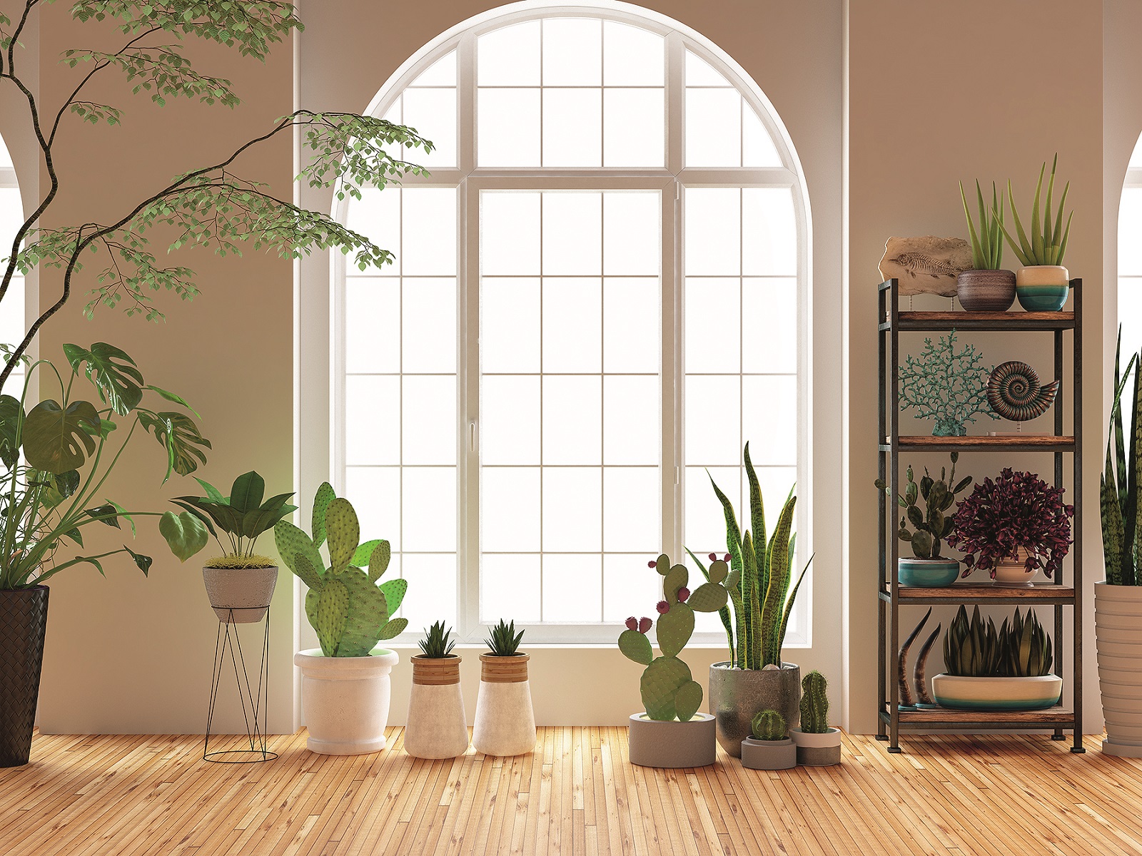 Green Plants and Flowers with Window. 3d Render