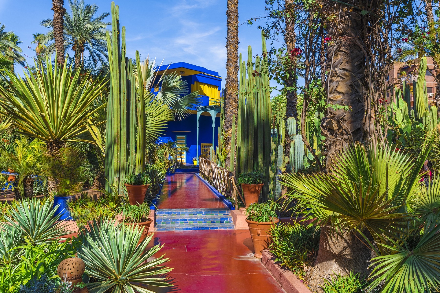Marrakech, Morocco - November  12, 2017:Le Jardin Majorelle, amazing tropical garden in Marrakech, Morocco.