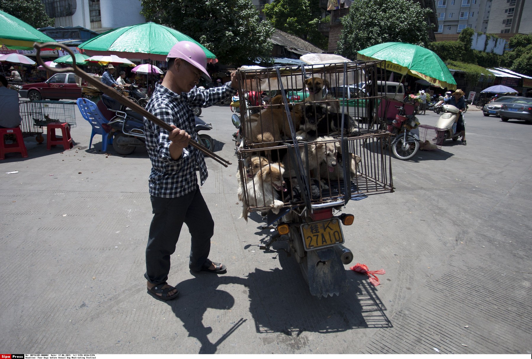 Yulin, CHINA - June 17 2015: (EDITORIAL USE ONLY. CHINA OUT) A man is selling dogs at Dongkou Market. The controversial annual dog meat-eating festival will be held on the summer solstice (June 21) in Yulin, Guangxi Zhuang autonomous region, when a mass of dogs are likely to be slaughtered and served as hotpots with litchis and strong liquor./SIPAASIA_120102/Credit:SIPA ASIA/SIPA/1506181205, Image: 250251900, License: Rights-managed, Restrictions: , Model Release: no, Credit line: SIPA ASIA / Sipa Press / Profimedia