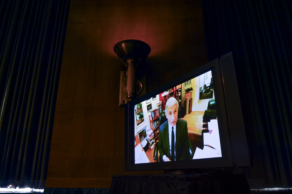 Dr. Anthony Fauci testifies via video conference during the Senate Committee for Health, Education, Labor, and Pensions hearing to examine COVID-19 and Safely Getting Back to Work and Back to School on  May 12, 2020 in Washington,DC. (Photo by Toni L. Sandys / POOL / AFP)