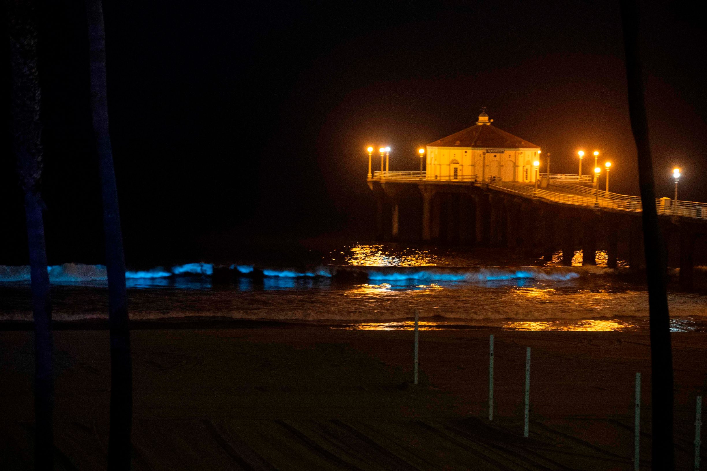 The Pier is seen as bioluminescent waves crash on the sand, shining with a blue glow on April 28, 2020, in Manhattan Beach, California. - Bioluminescence is a phenomenon caused by certain kinds of phytoplankton associated with red tide that by night generate a pulse of blue light as the waves crash. (Photo by VALERIE MACON / AFP)
