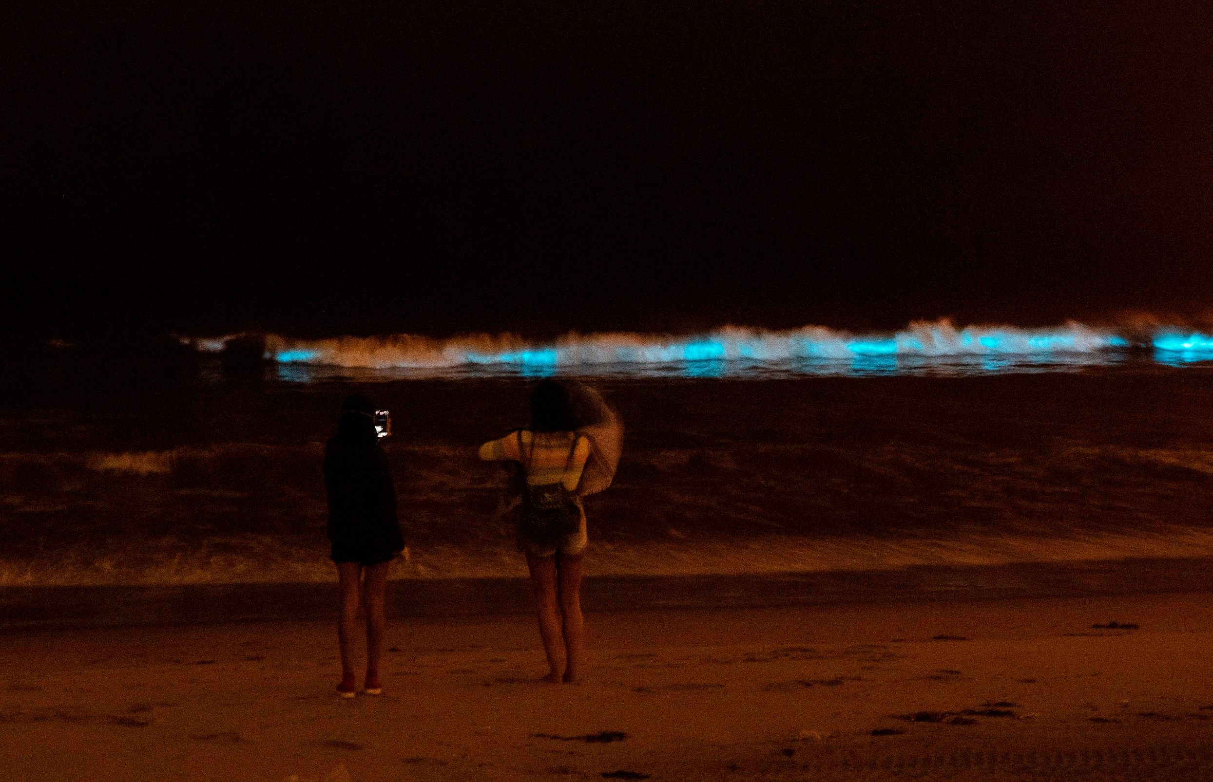 People watch the bioluminescent waves crash on the sand, shining with a blue glow on April 28, 2020, in Manhattan Beach, California. - Bioluminescence is a phenomenon caused by certain kinds of phytoplankton associated with red tide that by night generate a pulse of blue light as the waves crash. (Photo by VALERIE MACON / AFP)
