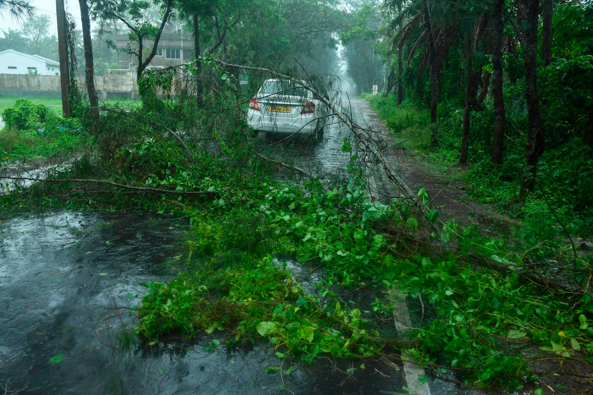 A car drives past fallen tree branches along a road ahead of the expected landfall of cyclone Amphan in Digha, West Bengal, on May 20, 2020. - India and Bangladesh began evacuating more than two million people on May 18 as a cyclone barrelled towards their coasts, with officials racing to ready extra shelters amid fears of coronavirus contagion in cramped refuges. (Photo by Dibyangshu SARKAR / AFP)