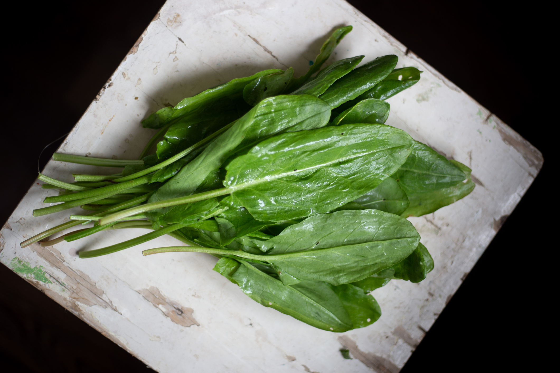 Fresh sorrel on a old wooden table