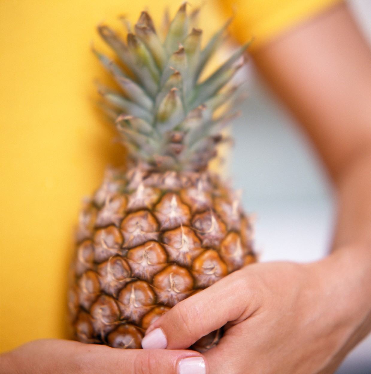 Pineapple. Woman holding a fresh pineapple (Ananas sp.). Pineapples are a good source of dietary fibre and vitamin C.,Image: 102261099, License: Rights-managed, Restrictions: , Model Release: no, Credit line: Science Photo Library / Sciencephoto / Profimedia