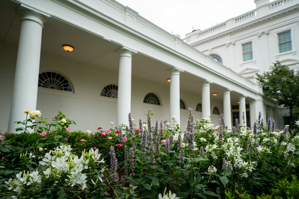 WASHINGTON, DC - AUGUST 22: A view of the recently renovated Rose Garden at the White House on August 22, 2020 in Washington, DC. The Rose Garden has been under renovation since last month and updates to the historic garden include a redesign of the plantings, new limestone walkways and technological updates to the space. (Photo by Drew Angerer/Getty Images)