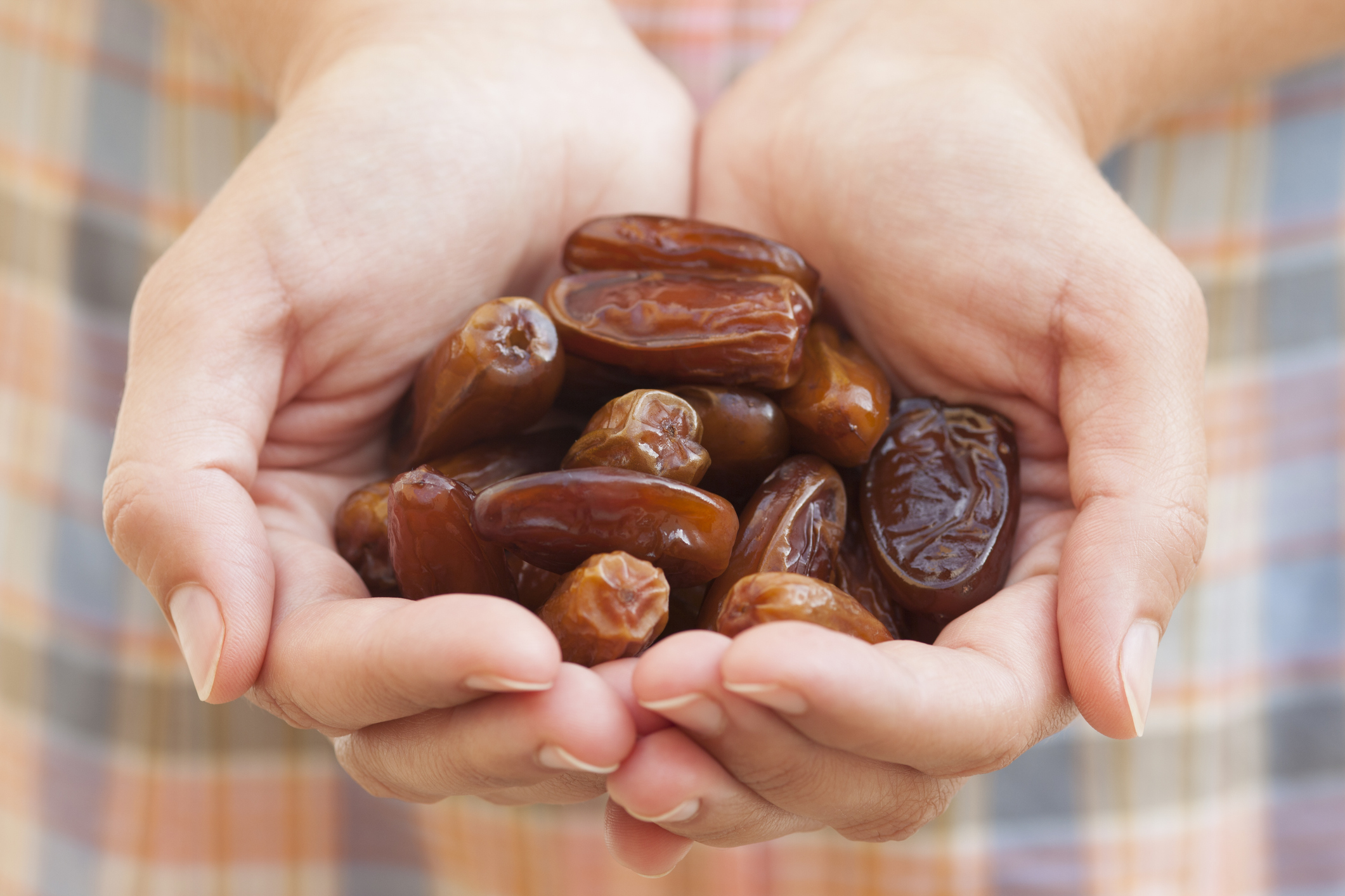 Dates in woman's palms.
