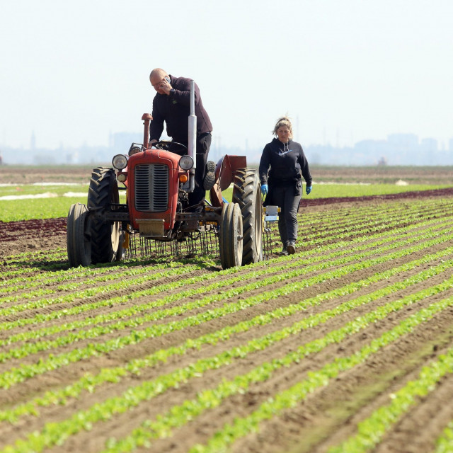 euractiv-support-payments-for-farmers-begin