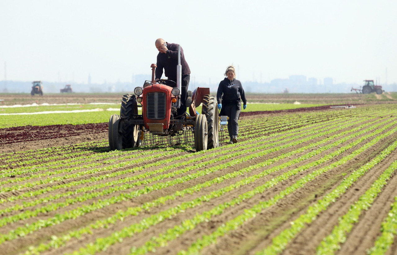 euractiv-support-payments-for-farmers-begin