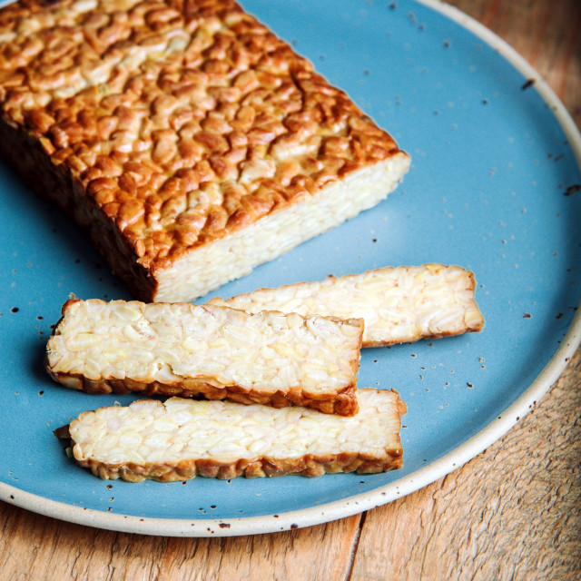 tempeh01-220220 (1)