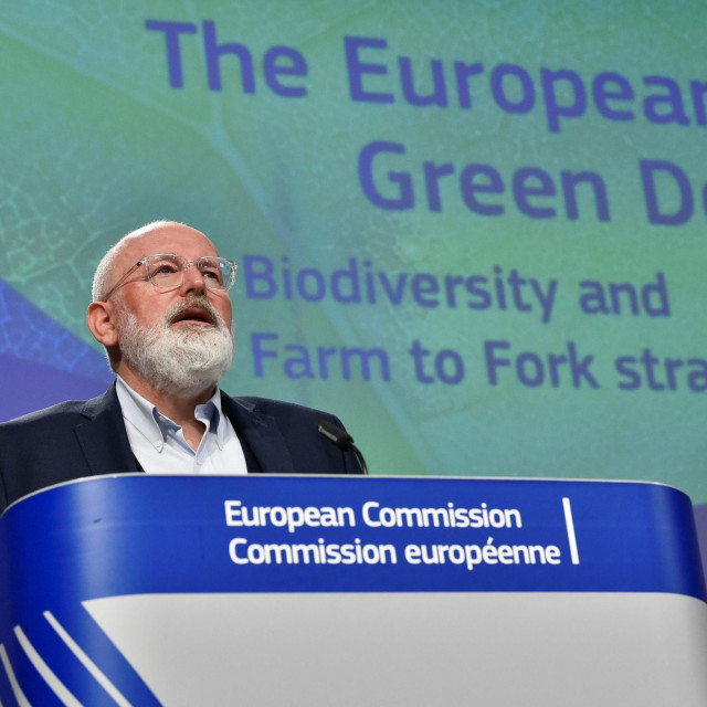 Frans Timmermans, Executive Vice-President of the European Commission
