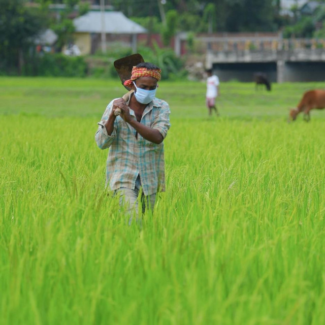 Poljoprivrednik u Indiji