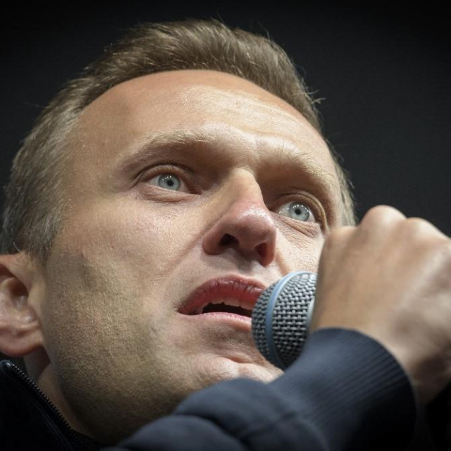 Aleksej Navaljni, arhivska fotografija