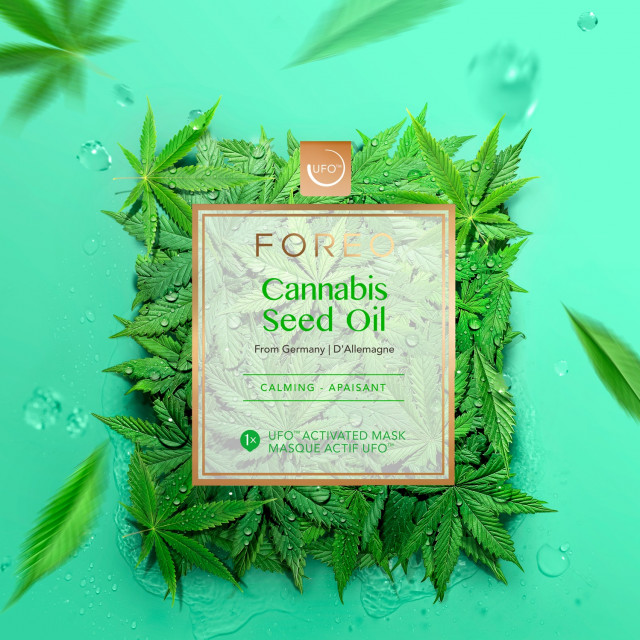 Cannabis Seed Oil KV