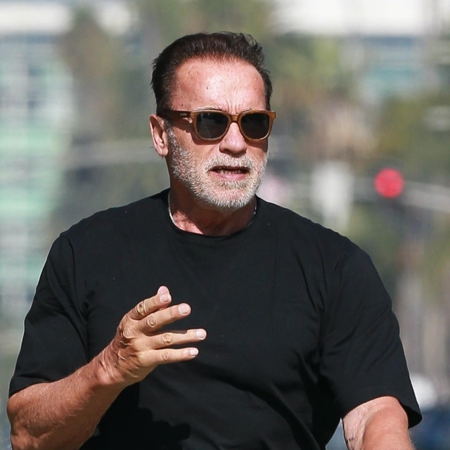 Arnold Schwarzenegger 