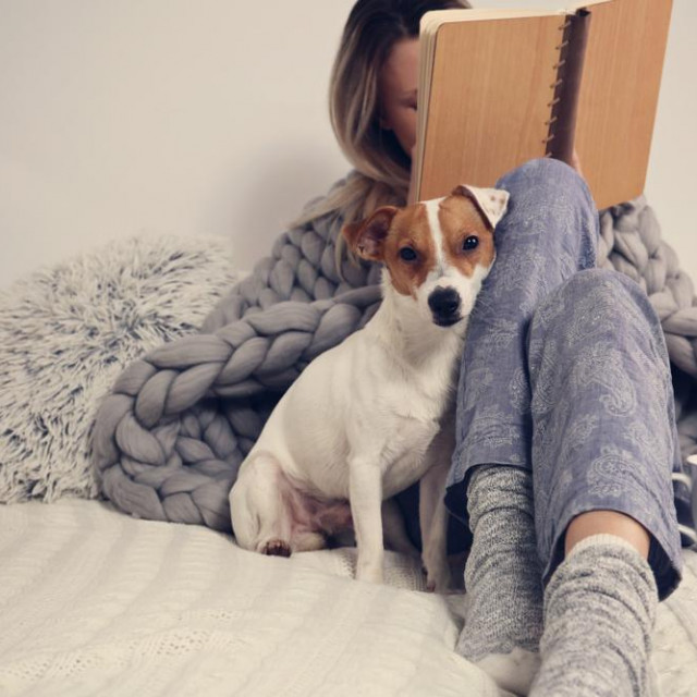 Woman in cozy home clothes relaxing at home with dog Jack Russel Terrier, drinking cacao, reading a book. Comfy lifestyle.