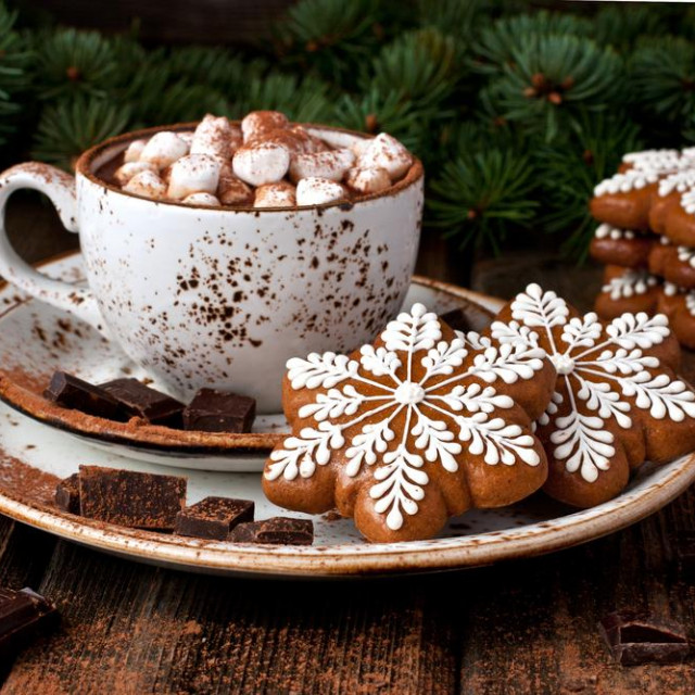 Cup with hot chocolate and gingerbread cookies for christmas holiday. Holiday concept