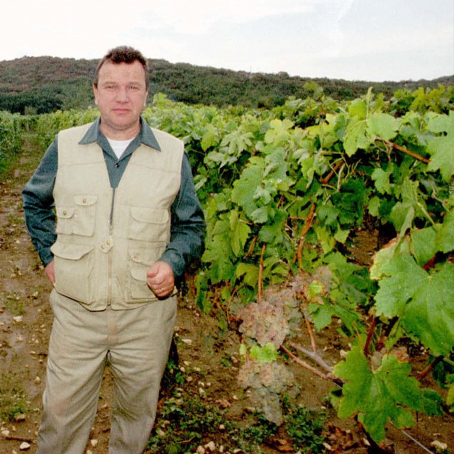 Vinar Antun Katunar u svom vinogradu, arhivska fotografija