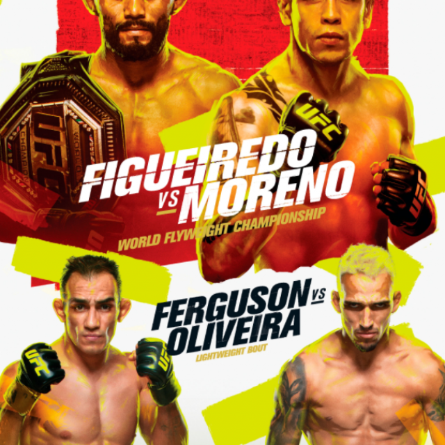 UFC 256 poster