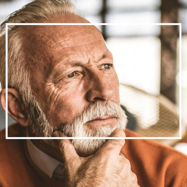 Veliki vodič kroz Alzheimer i druge demencije