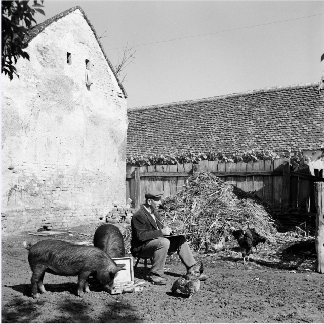 Ivan Generalić, 1955 (detalj fotografije)
